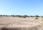 Terreno no urbanizable en venta en la España, Elche, ref: TR218667 foto