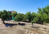 Non-developable land for sale on España, Molina de Segura, ref: TR220985 photo