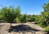 Non-developable land for sale on España, Molina de Segura, ref: TR220985 photo