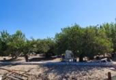 Non-developable land for sale on España, Molina de Segura, ref: TR220985 photo