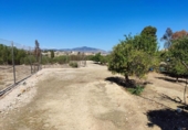 Non-developable land for sale on España, Molina de Segura, ref: TR220985 photo