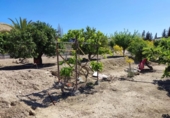 Non-developable land for sale on España, Molina de Segura, ref: TR220985 photo