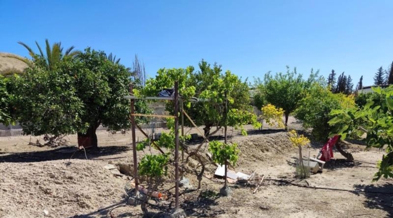 Murcia - Molina de Segura - 2002m2