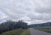 Земля на продажу у города El Tanque Фото