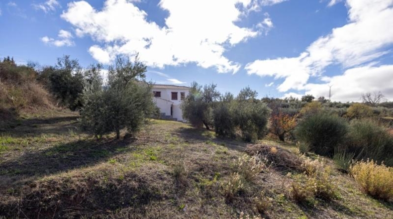 Granada - Nívar - 562m2