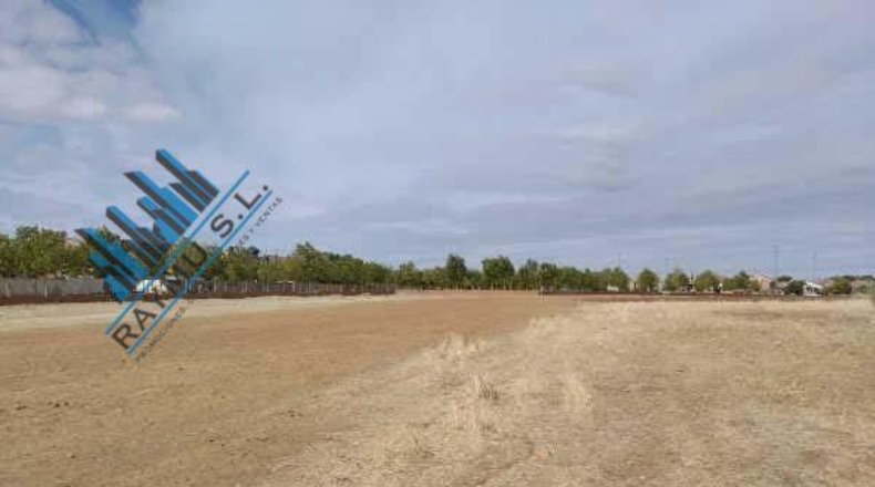 Community of Madrid - Meco - 35837m2