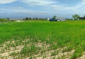 Land suitable for development for sale on España, Almansa, ref: TR311382 photo