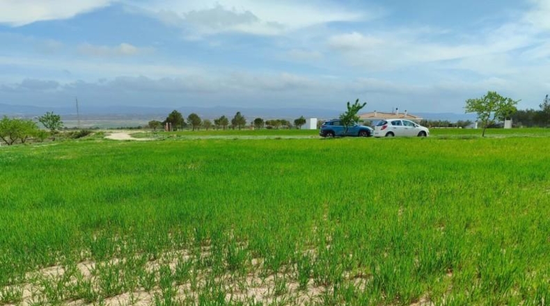 Albacete - Almansa - 33000m2