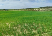 Land suitable for development for sale on España, Almansa, ref: TR311382 photo