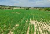 Land suitable for development for sale on España, Almansa, ref: TR311382 photo
