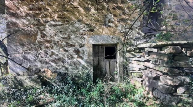 Cantabria - Miera - 21000m2