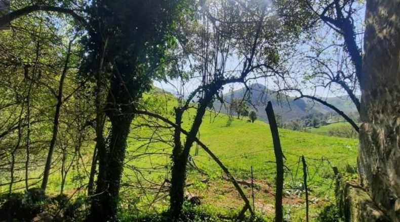 Cantabria - Miera - 21000m2