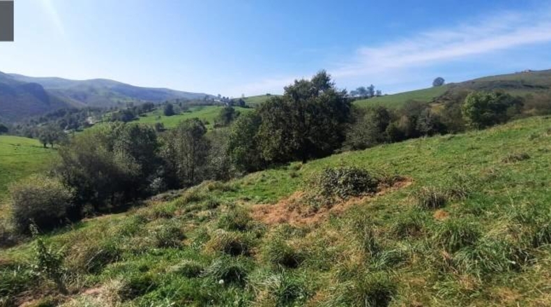 Cantabria - Miera - 21000m2