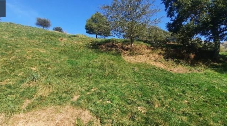 Cantabria - Miera - 21000m2