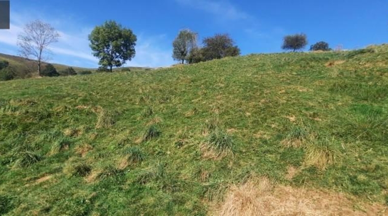 Cantabria - Miera - 21000m2