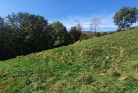 Foto 14
