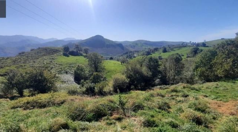Cantabria - Miera - 21000m2