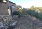 Non-developable land for sale on España, Flix, ref: TR123263 photo