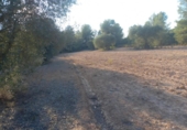 Non-developable land for sale on España, Flix, ref: TR123263 photo