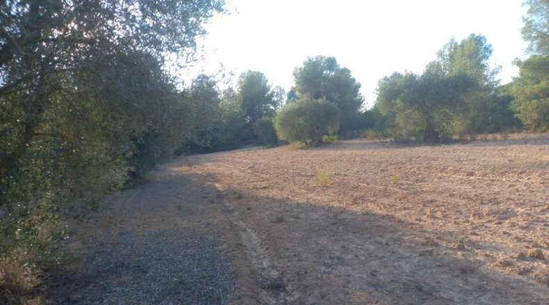 Tarragona - Flix - 14790m2