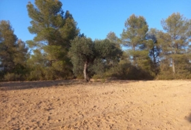 Flix 14790&nbsp;m² 