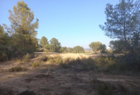 Flix 14790&nbsp;m² 