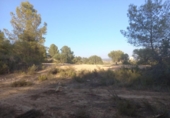 Non-developable land for sale on España, Flix, ref: TR123263 photo