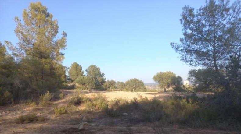 Tarragona - Flix - 14790m2