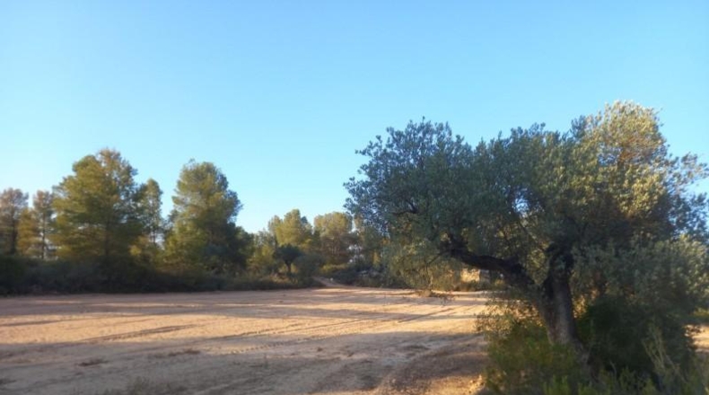 Tarragona - Flix - 14790m2
