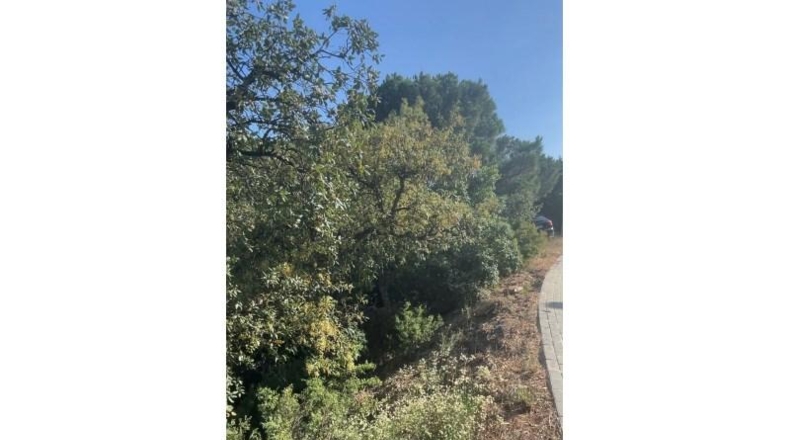 Gerona - Lloret de Mar - 826m2