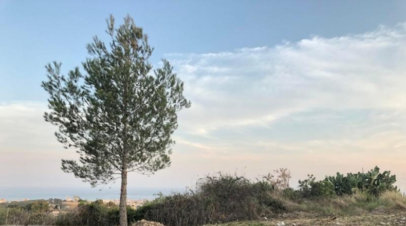 Tarragona - Calafell - 767m2
