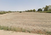 Terreny no urbanitzable en venda a la España, Lorca, ref.: TR314476 foto