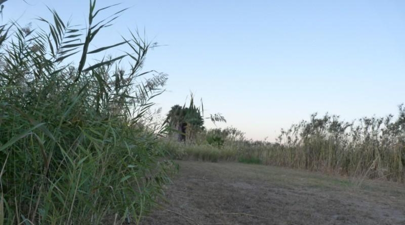 Аликанте - Pego - 8900m2