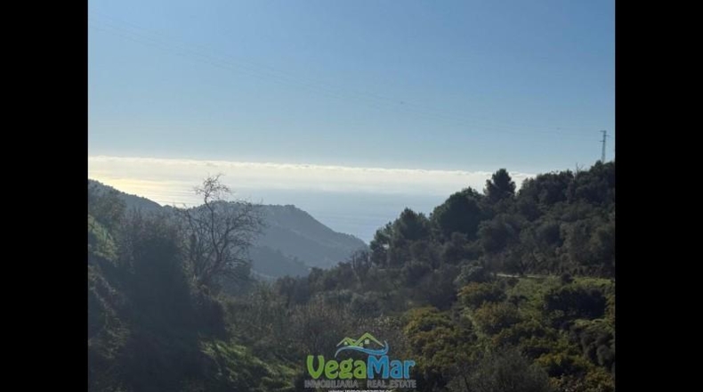 Málaga - Nerja - 9600m2