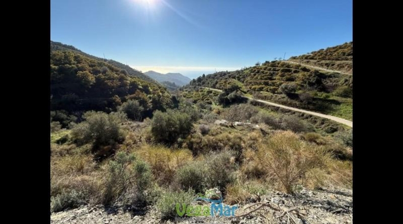 Málaga - Nerja - 9600m2