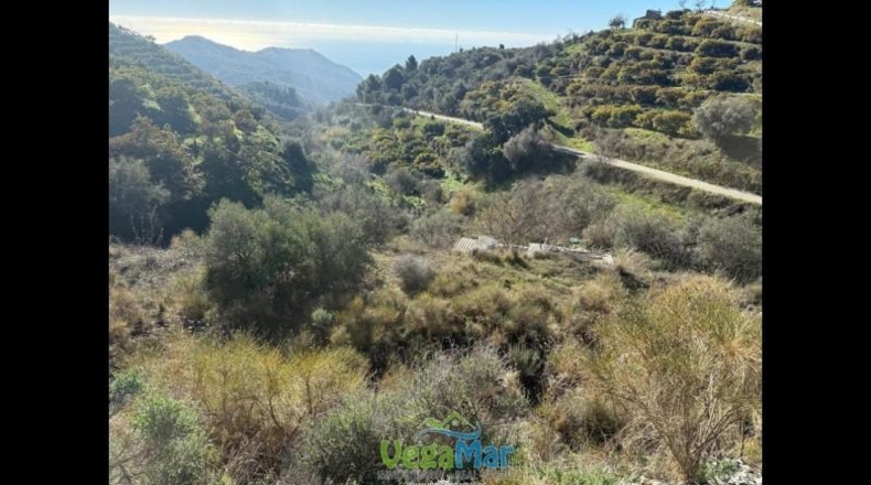 Málaga - Nerja - 9600m2
