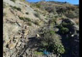 Land suitable for development for sale on España, Nerja, ref: TR377602 photo