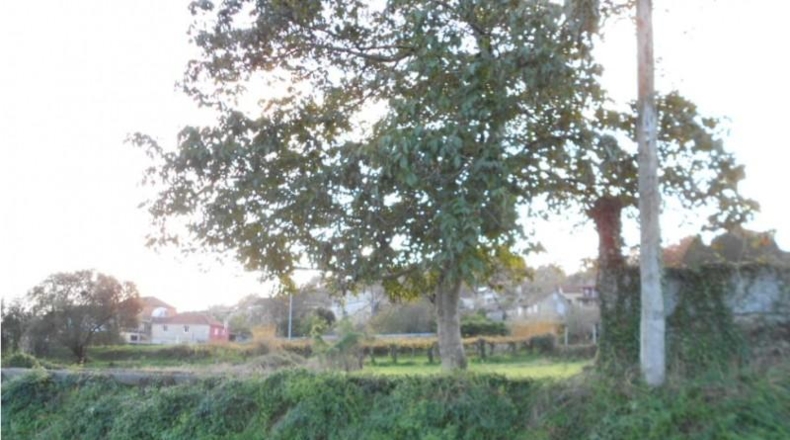 Pontevedra - Alende - 999m2
