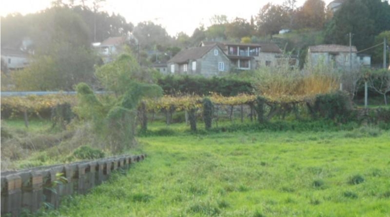 Pontevedra - Alende - 999m2