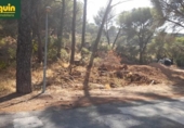 Sòl urbà en venda a la España, Encinarejo de Córdoba, ref.: TR347869 foto
