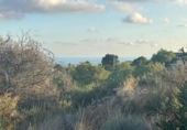 Non-developable land for sale on España, Venta del Moro, ref: TR348275 photo