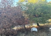 Non-developable land for sale on España, Venta del Moro, ref: TR348275 photo