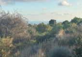 Non-developable land for sale on España, Venta del Moro, ref: TR348275 photo