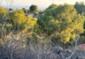 Non-developable land for sale on España, Venta del Moro, ref: TR348275 photo