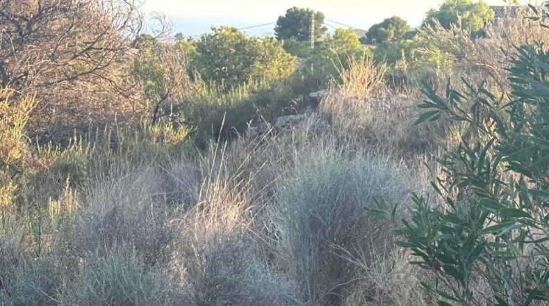 Valencia - Venta del Moro - 2100m2
