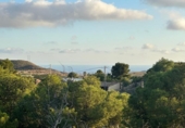 Non-developable land for sale on España, Venta del Moro, ref: TR348275 photo