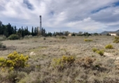 Terreno no urbanizable en venta en la España, Móra d'Ebre, ref: TR361208 foto