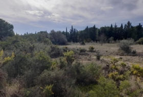 Móra d'Ebre 9484&nbsp;m² 