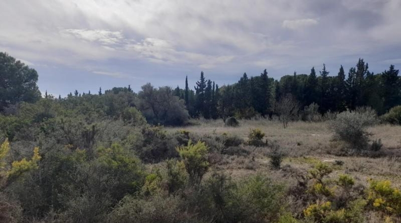 Tarragona - Móra d'Ebre - 9484m2