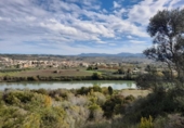 Terreno no urbanizable en venta en la España, Móra d'Ebre, ref: TR361208 foto